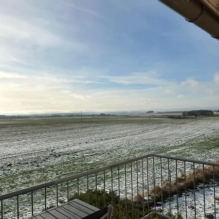 64 Nemo Neddesitz Sagard