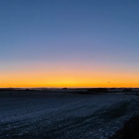 64 Nemo Neddesitz * Sagard