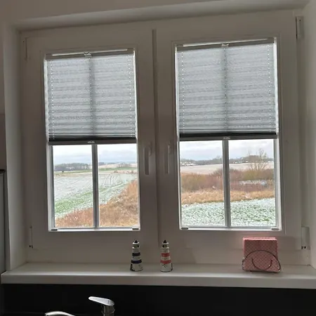 64 Nemo Neddesitz