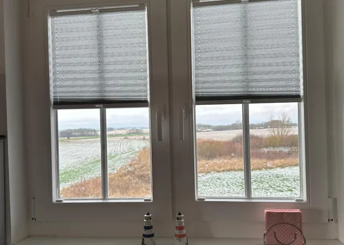 64 Nemo Neddesitz